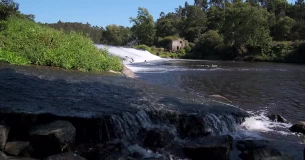 Ave River Vila Conde Portugal Zonnige Zomerdagen Water Stroomt Stuw — Stockvideo