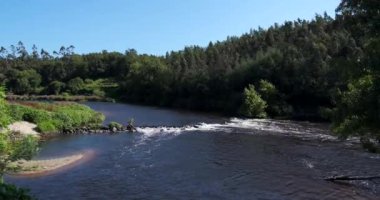 Yazın mavi gökyüzü ve rüzgarda sallanan ağaçlarla güzel bir nehir. Portekiz kırsalında Ave Nehri.