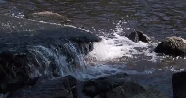 Cascade Dans Petit Ruisseau Éclaboussures Eau Sur Les Rochers Gros — Video