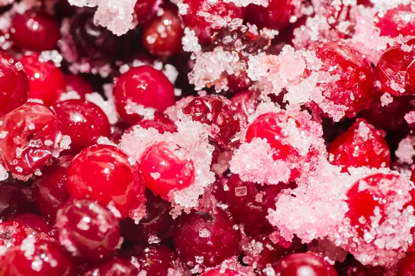 Cranberries in sugar — Stock Photo, Image