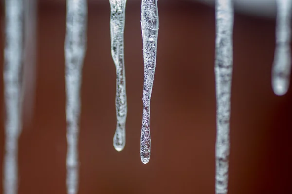 Hielo helada del carámbano —  Fotos de Stock