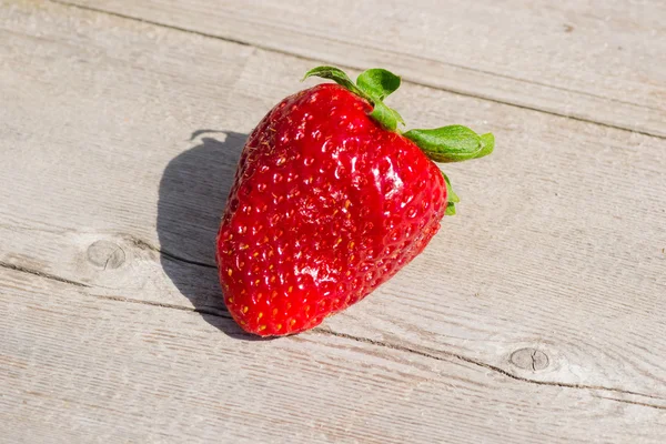 Rouge fraise bio — Photo