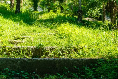 eski merdiven adımlar