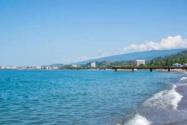 The vegetation of the sea — Stock Photo, Image