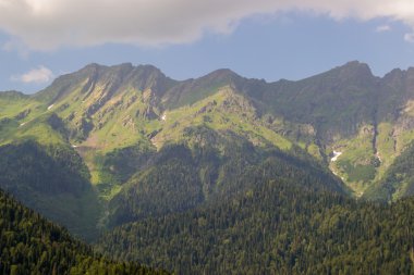 dağ orman manzarası