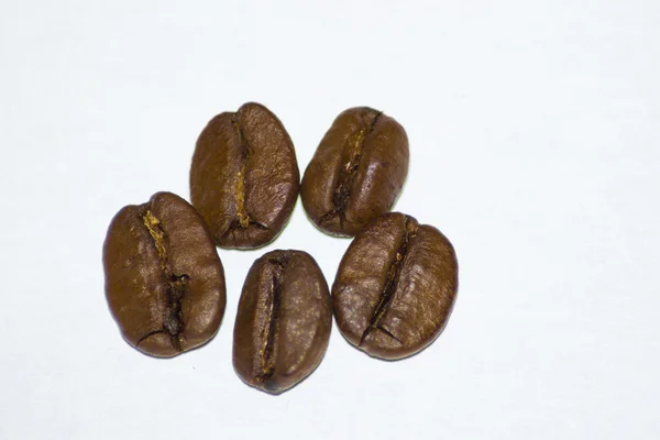 Coffee beans — Stock Photo, Image