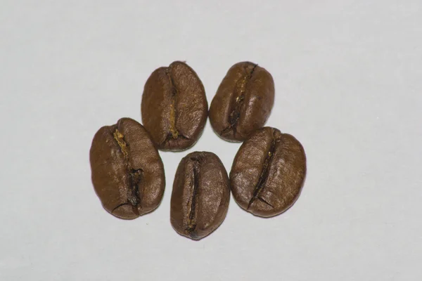 Coffee beans — Stock Photo, Image