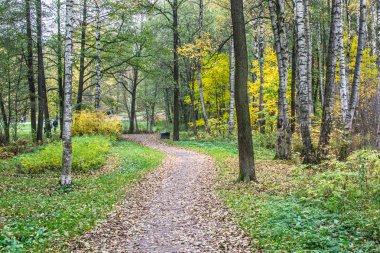 Sonbahar Yaprakları