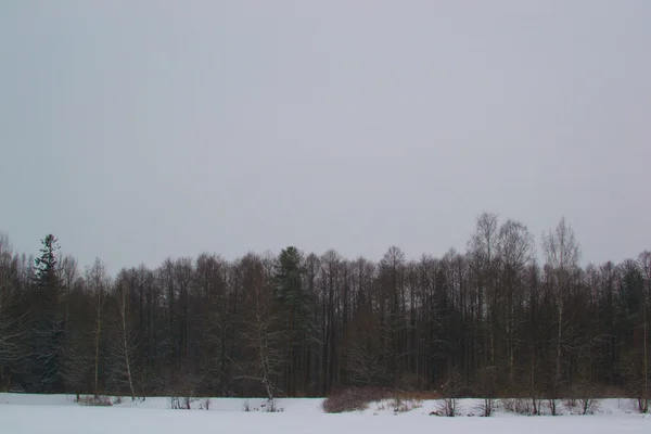 Vinterlandskap — Stockfoto