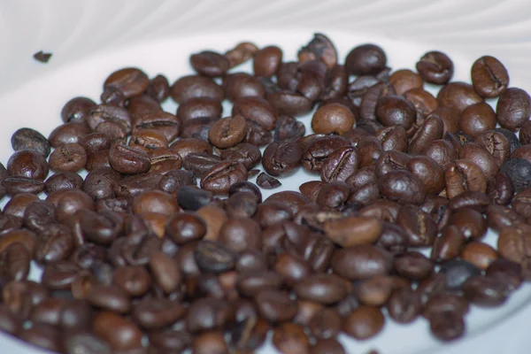 Coffee beans — Stock Photo, Image