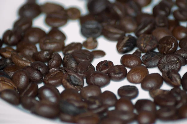 Coffee beans — Stock Photo, Image