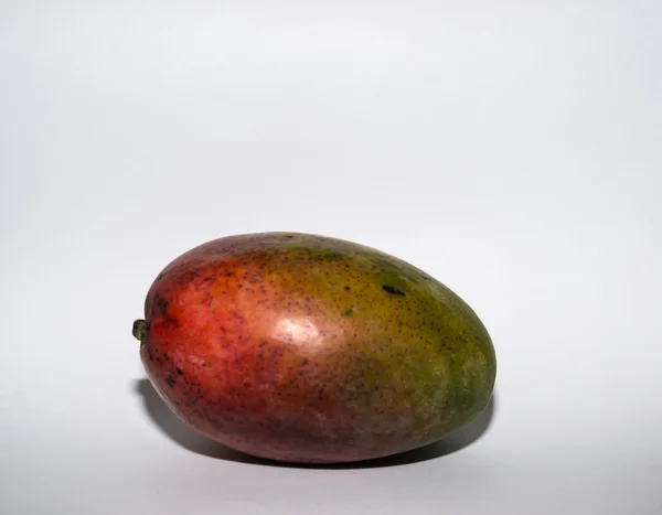 Cítricos de mango — Foto de Stock