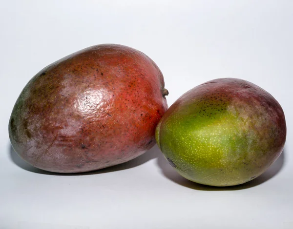 Cítricos de mango — Foto de Stock