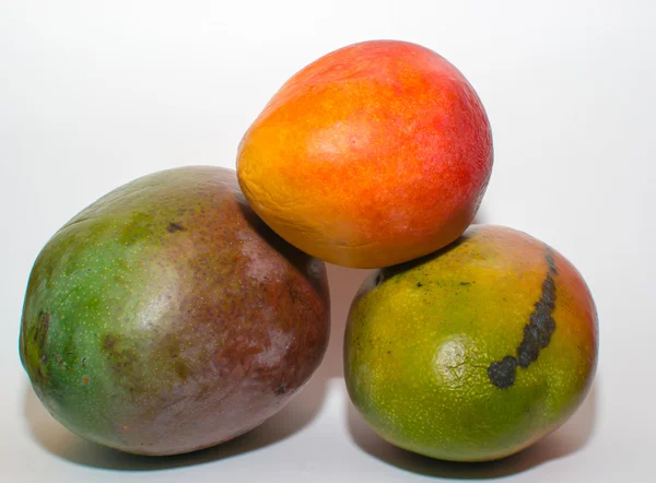 Agrumes de mangue — Photo