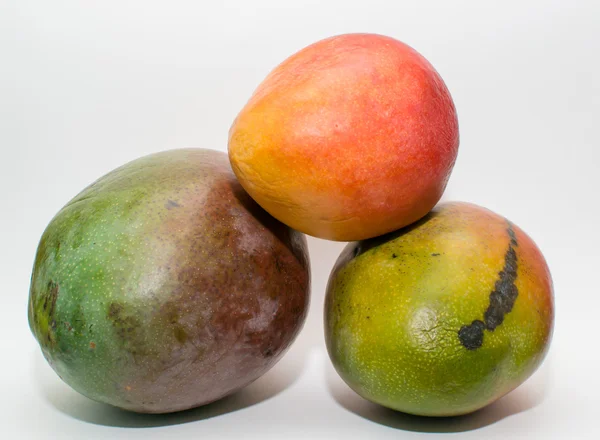 Цитрусовые манго — стоковое фото