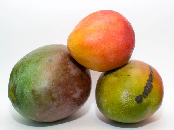 Mango citrus — Stock Photo, Image