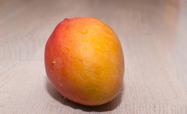 芒果柑橘 — 图库照片