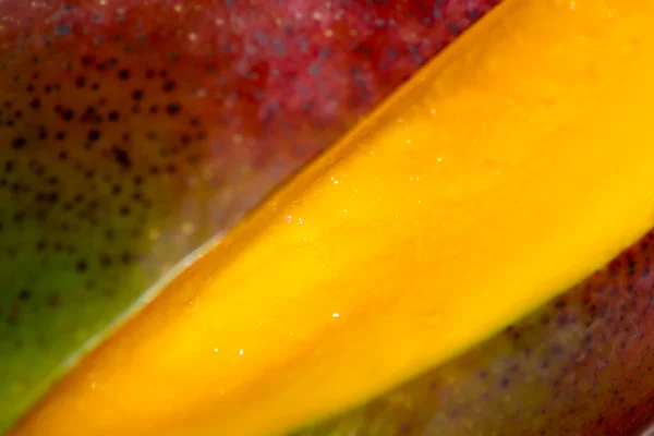 Цитрусовые манго — стоковое фото