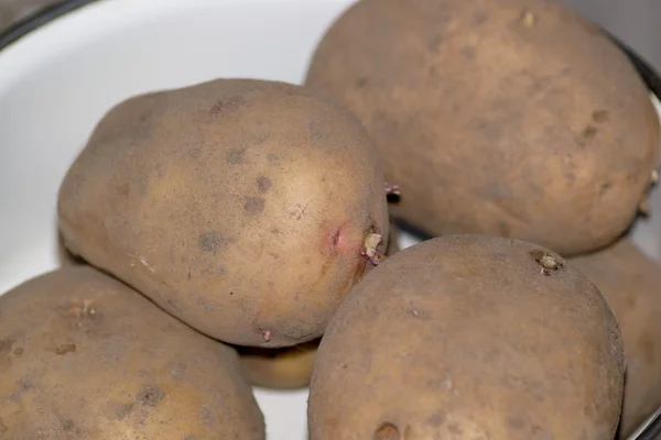 Cibo per patate — Foto Stock