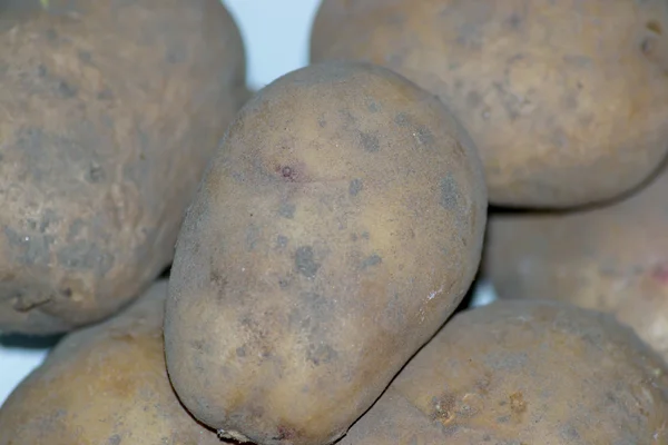 Πατάτες τροφίμων — Φωτογραφία Αρχείου