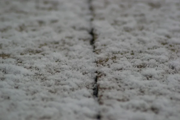 Schneekälte — Stockfoto