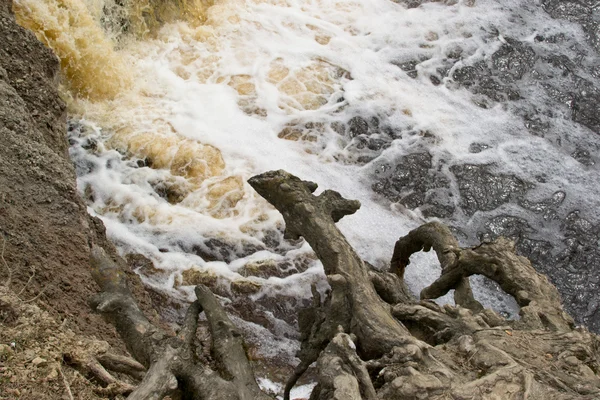Água da cascata — Fotografia de Stock