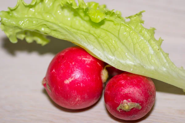 Ravanello alimentare — Foto Stock