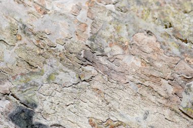 Yatay ahşap arka plan