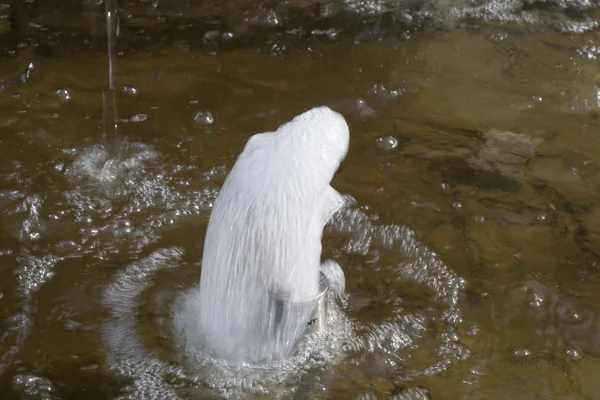 Água da cascata — Fotografia de Stock