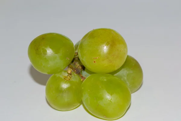 Grapefrukt — Stockfoto