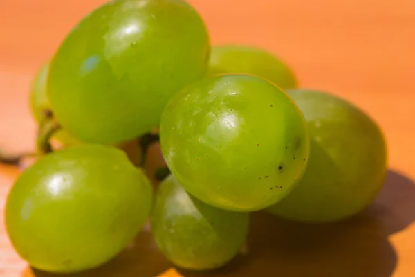 Grapefrukt — Stockfoto