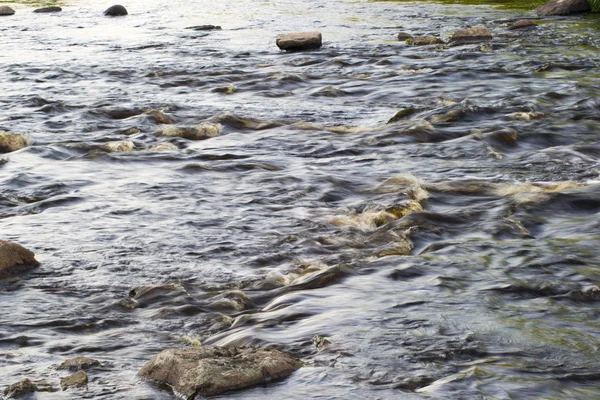Вид на реку — стоковое фото