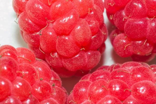 Raspberry — Stock Photo, Image