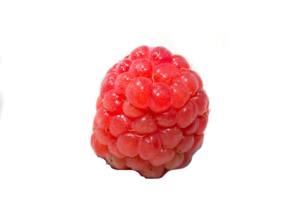 Raspberry — Stock Photo, Image