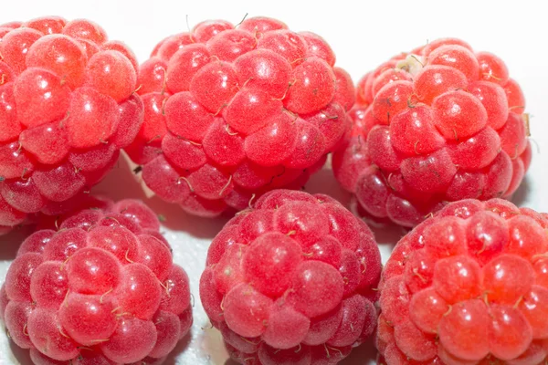 Raspberry — Stock Photo, Image