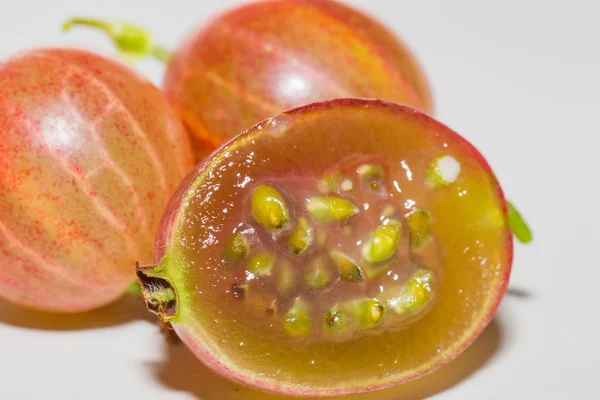 bektaşi üzümü gıda 