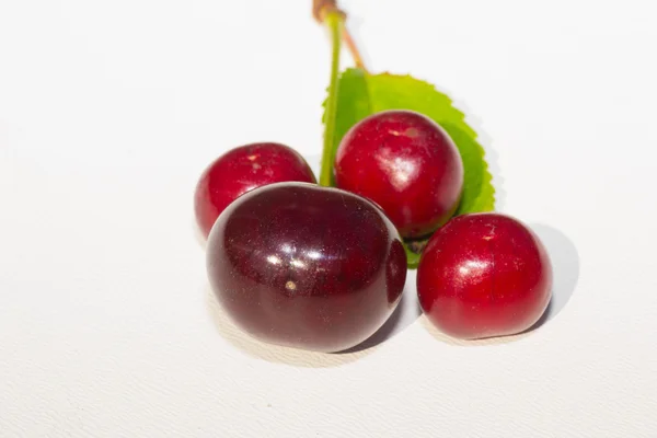 Cereza roja —  Fotos de Stock