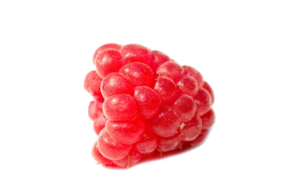 Raspberry — Stock Photo, Image