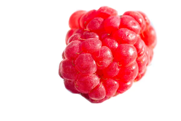 Raspberry — Stock Photo, Image