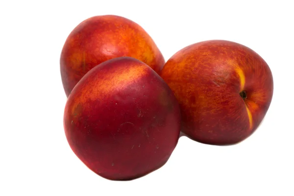 Makan nectarine — Stok Foto