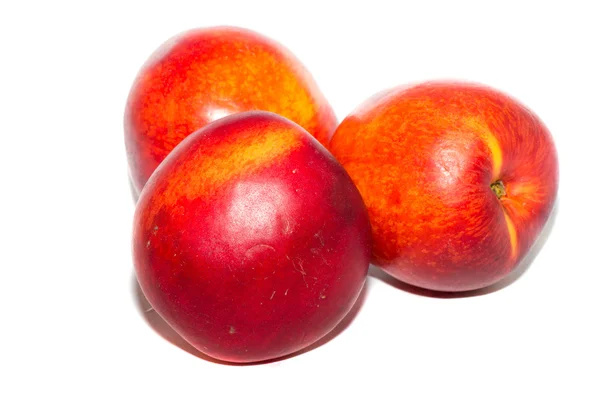 Makan nectarine — Stok Foto