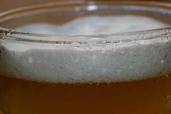 Алкоголь пити пиво — стокове фото