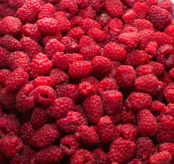 Raspberry — Stock Photo, Image