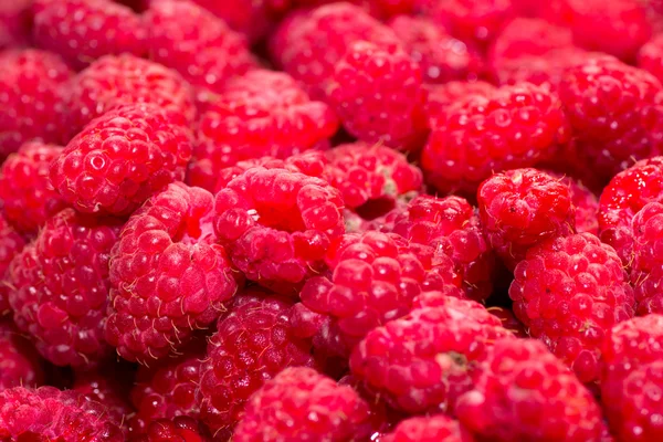 Raspberry — Stock Photo, Image