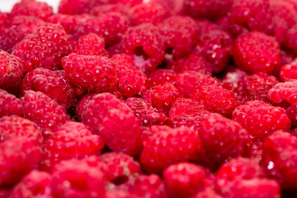 Raspberry — Stock Photo, Image