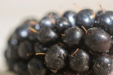 Berry blackberry
