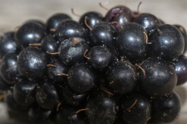 Berry blackberry