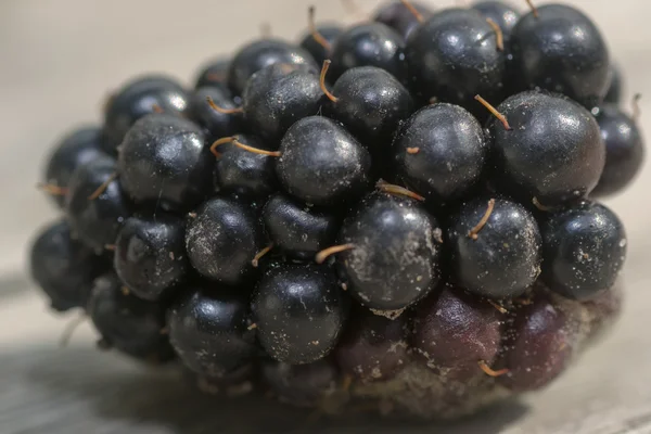 Beeren-Brombeere — Stockfoto