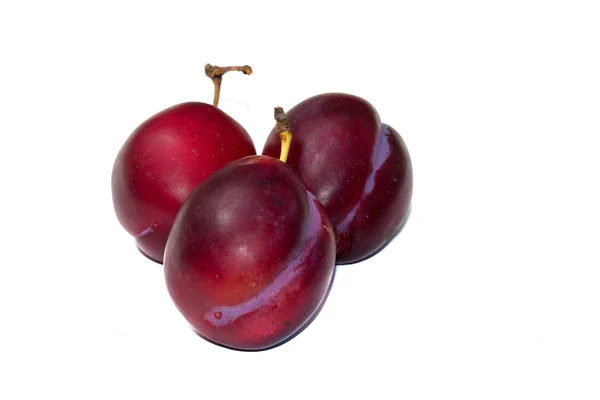 Plum green — Stock Photo, Image