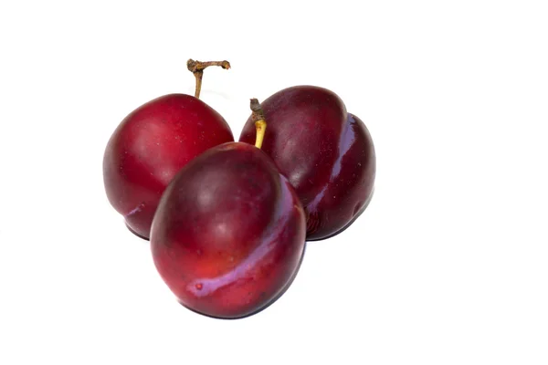 Plum groen — Stockfoto